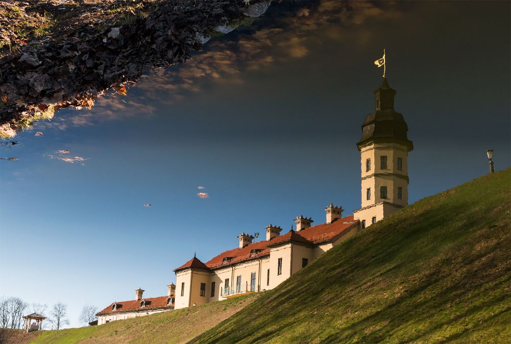 Отражение Несвижа