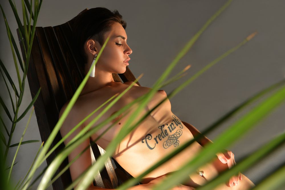 в тени манстеры