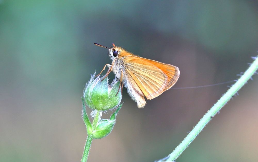 Photograph by Алексей Федулов