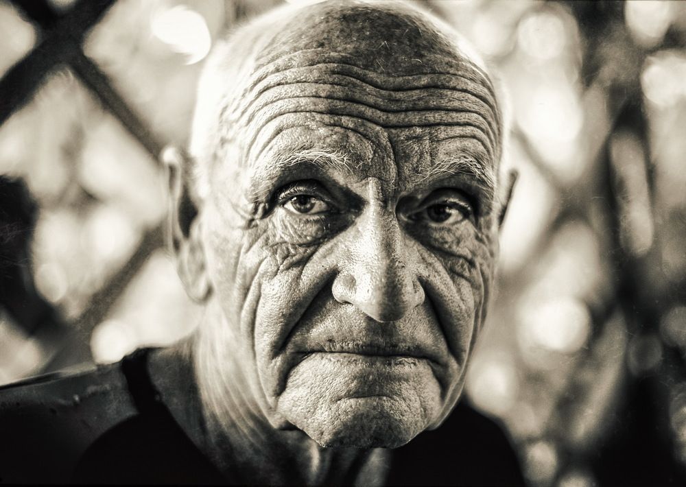 взгляд всей жизни / view of all life