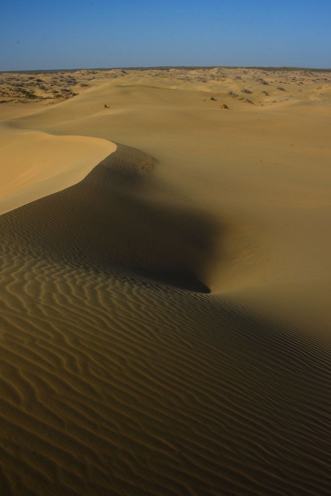 Природа лучший художник