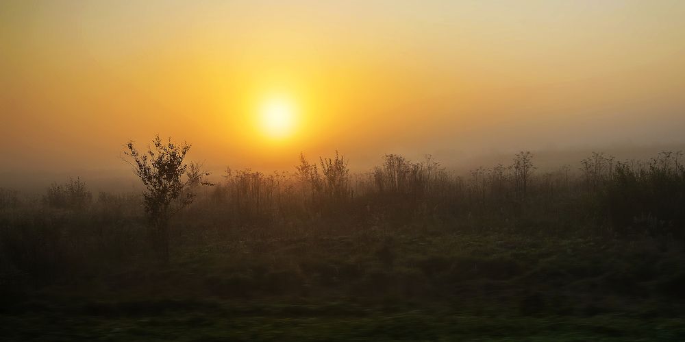 Утро в пути