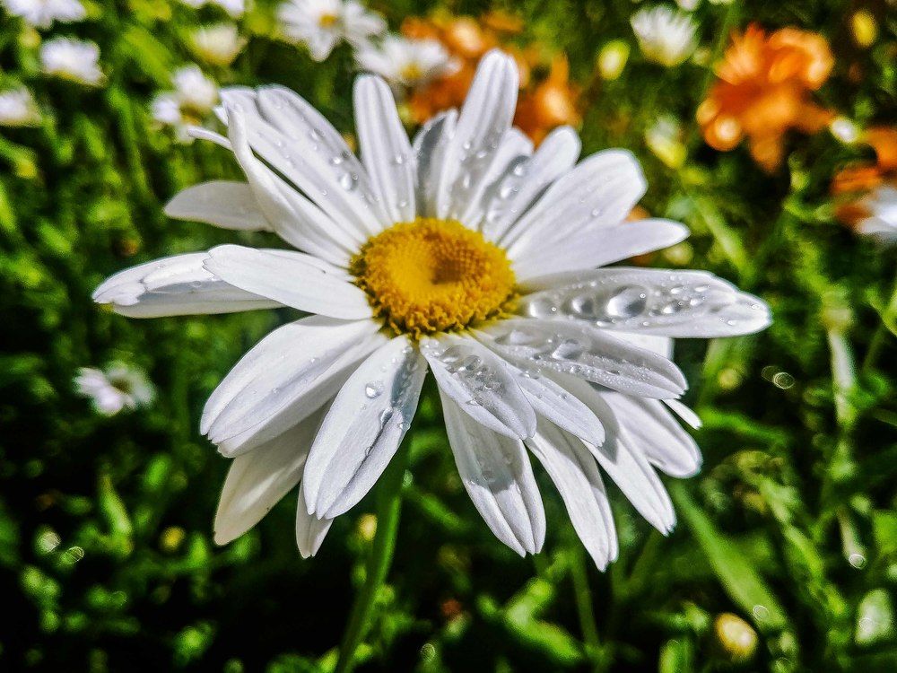 после дождя