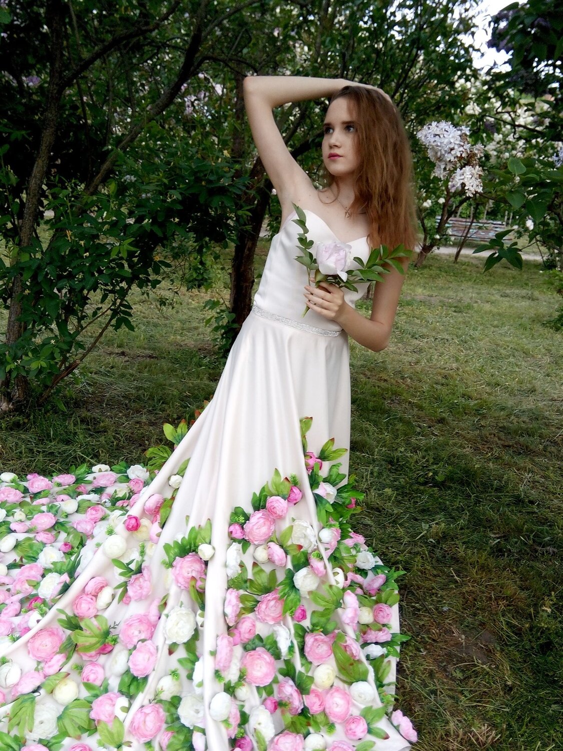 Photo #2410773