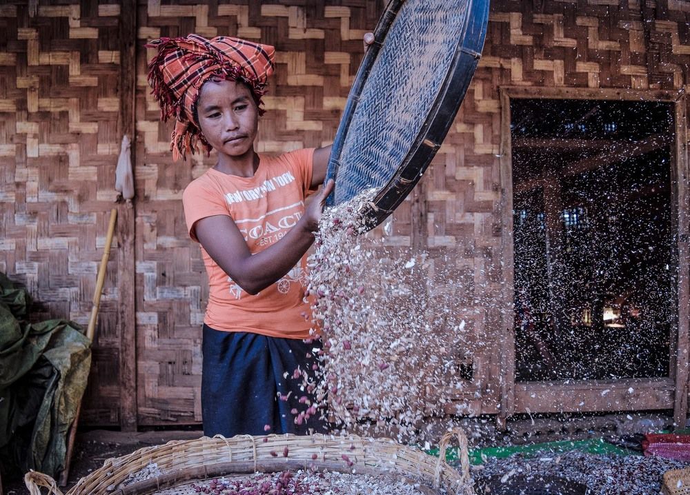 Myanmar Rural Woman Splitting Peanuts-1