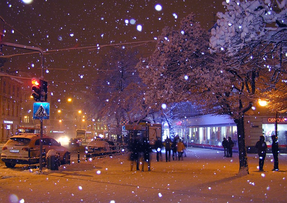 Зимовий Львів / Winter Lviv