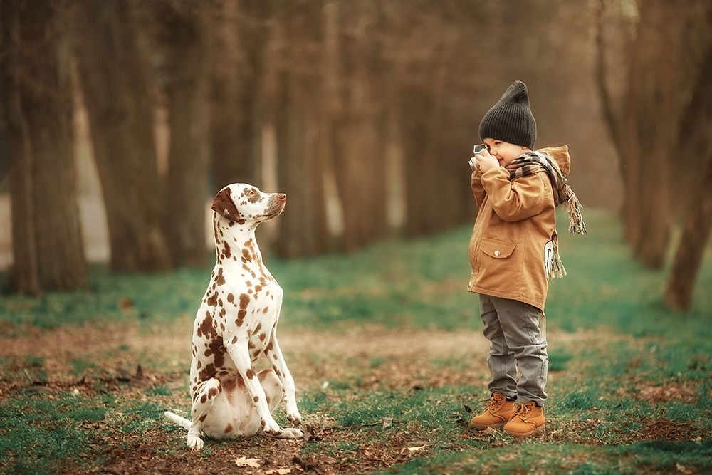 Юный фотограф