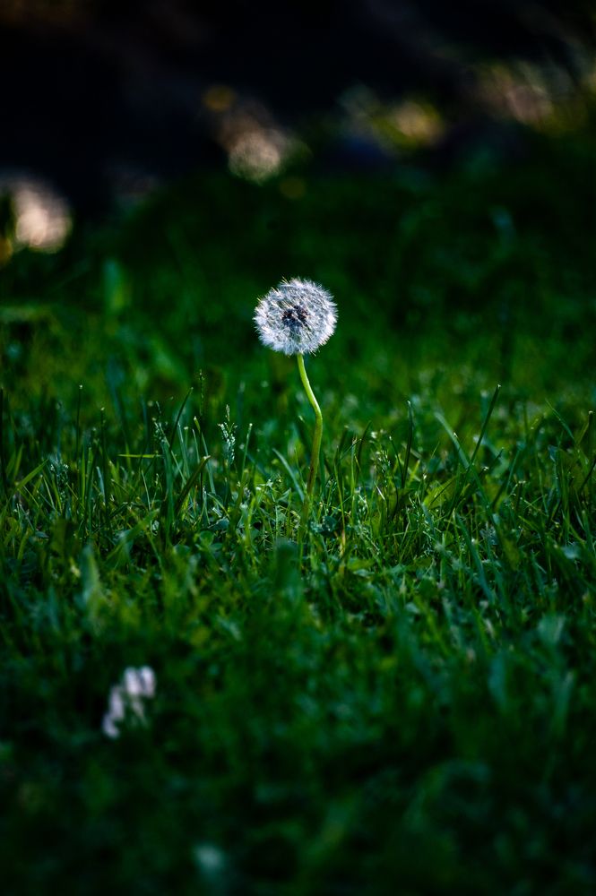 Фотография автора Подколзин Михаил