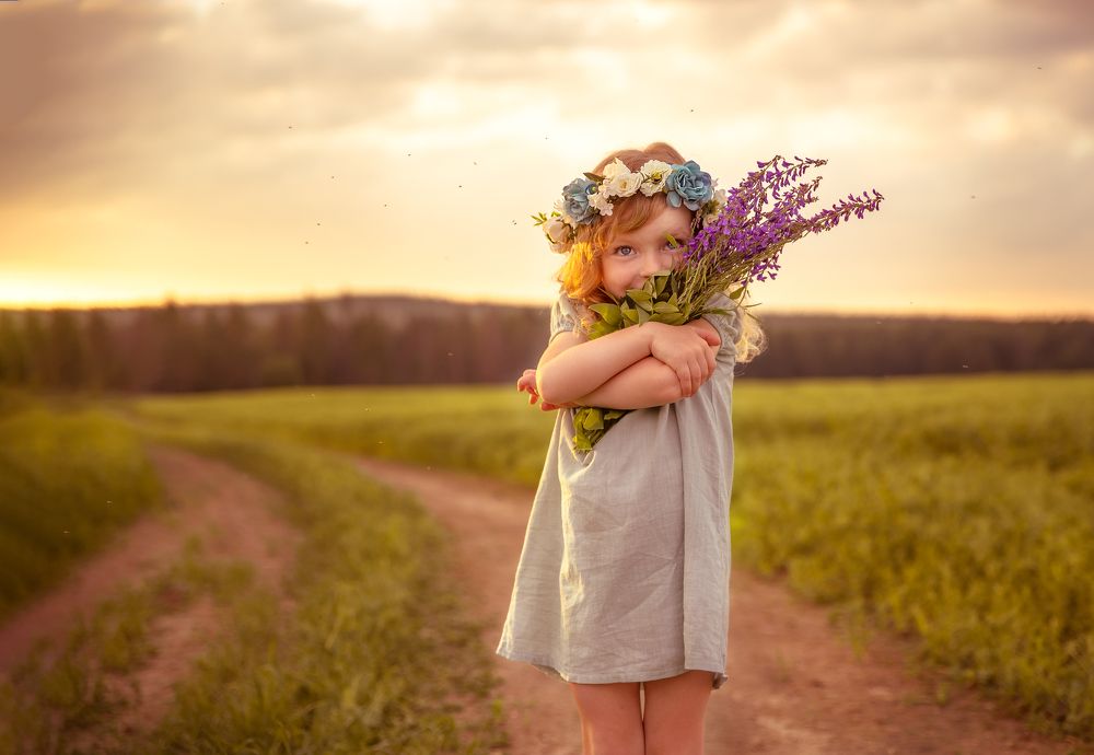 Гороховое поле на закате