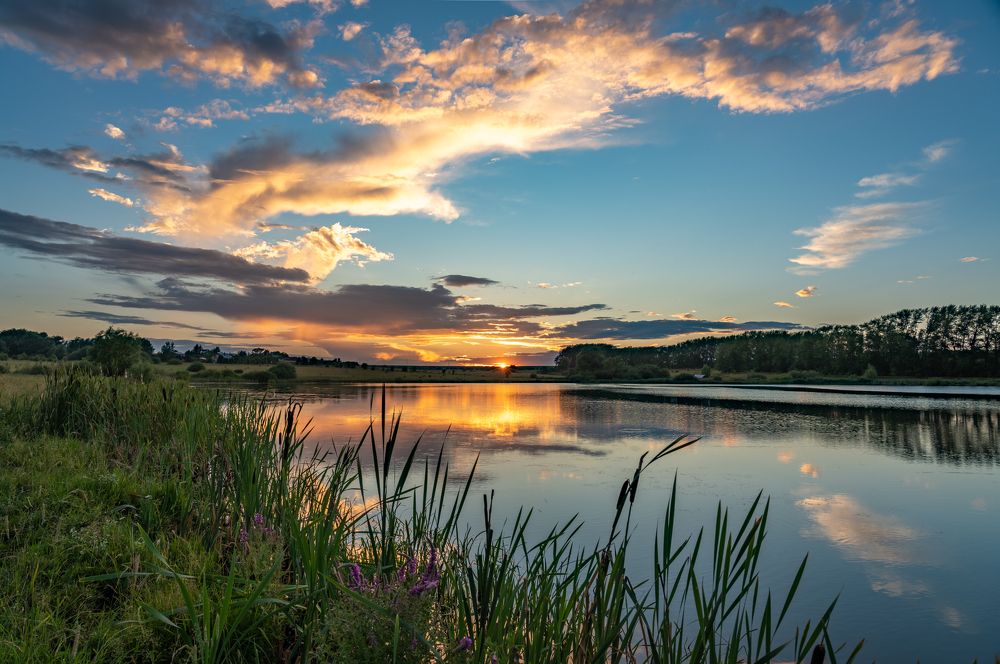 Июльский вечер после грозы или гончая на поводке у птицы...
