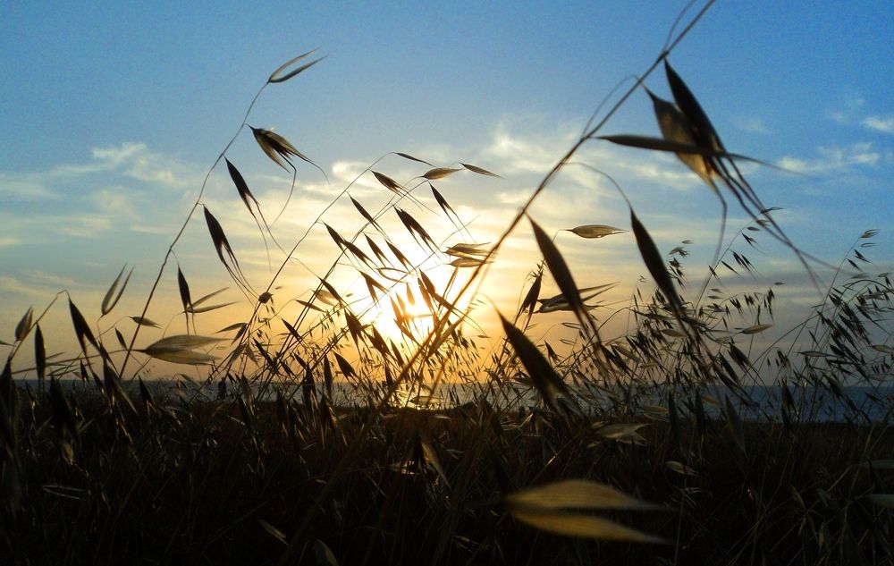 Закат. Ветер.