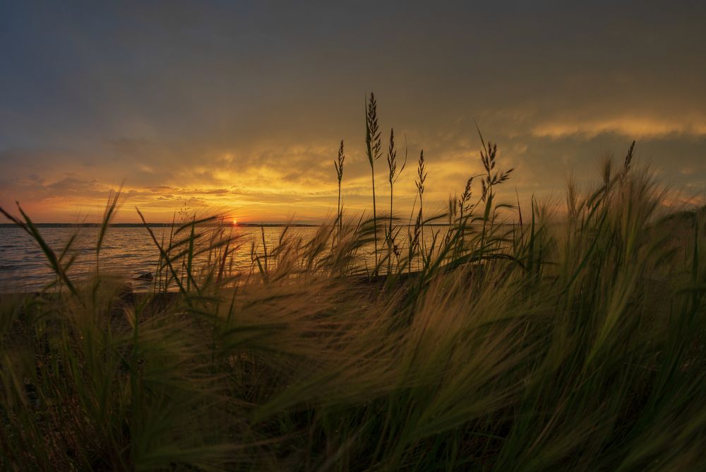 Photograph by Сергей Приходько