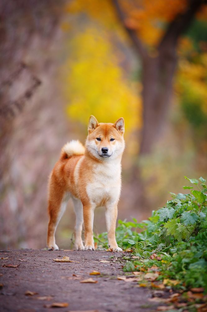 Тепло на душе