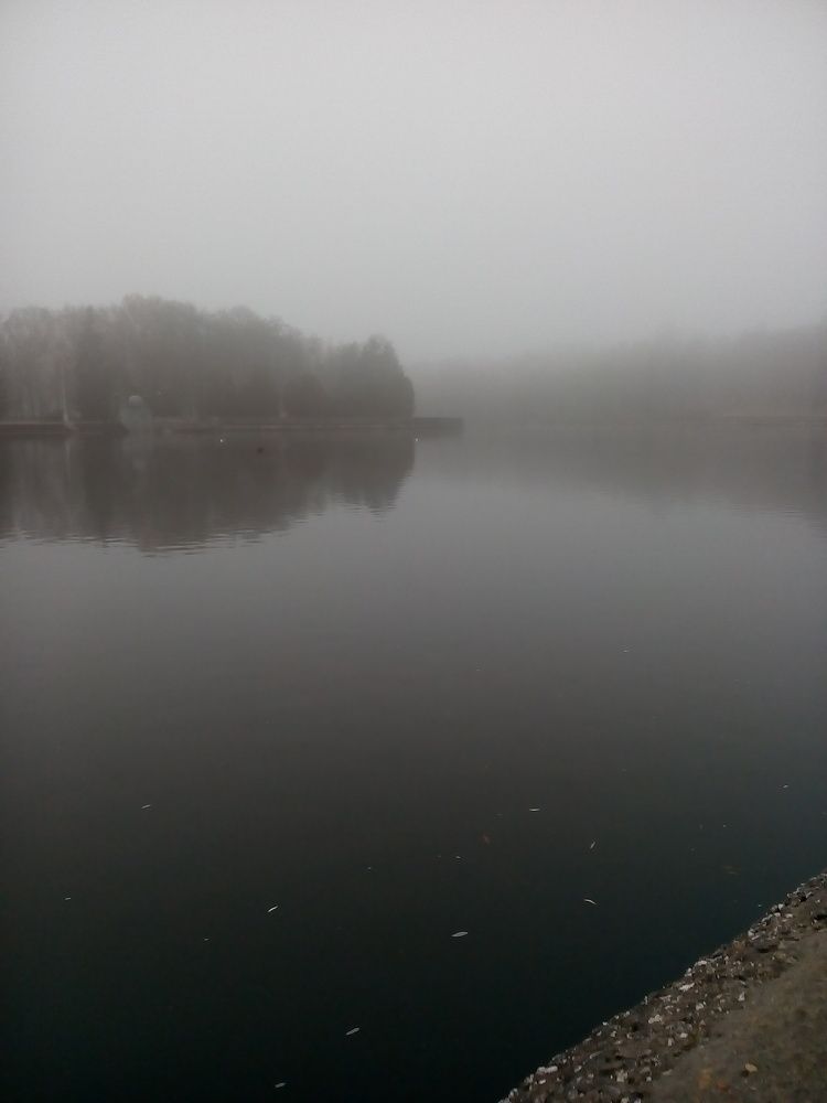Photo #2411395
