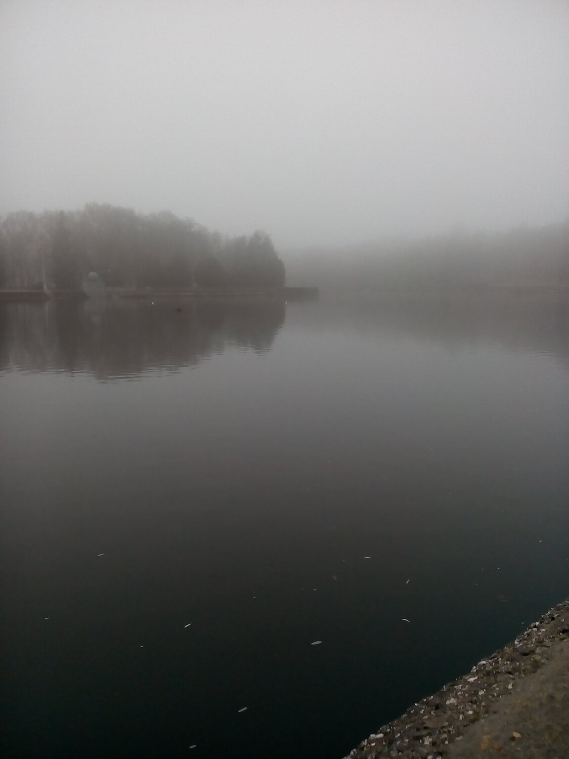 Photo #2411395