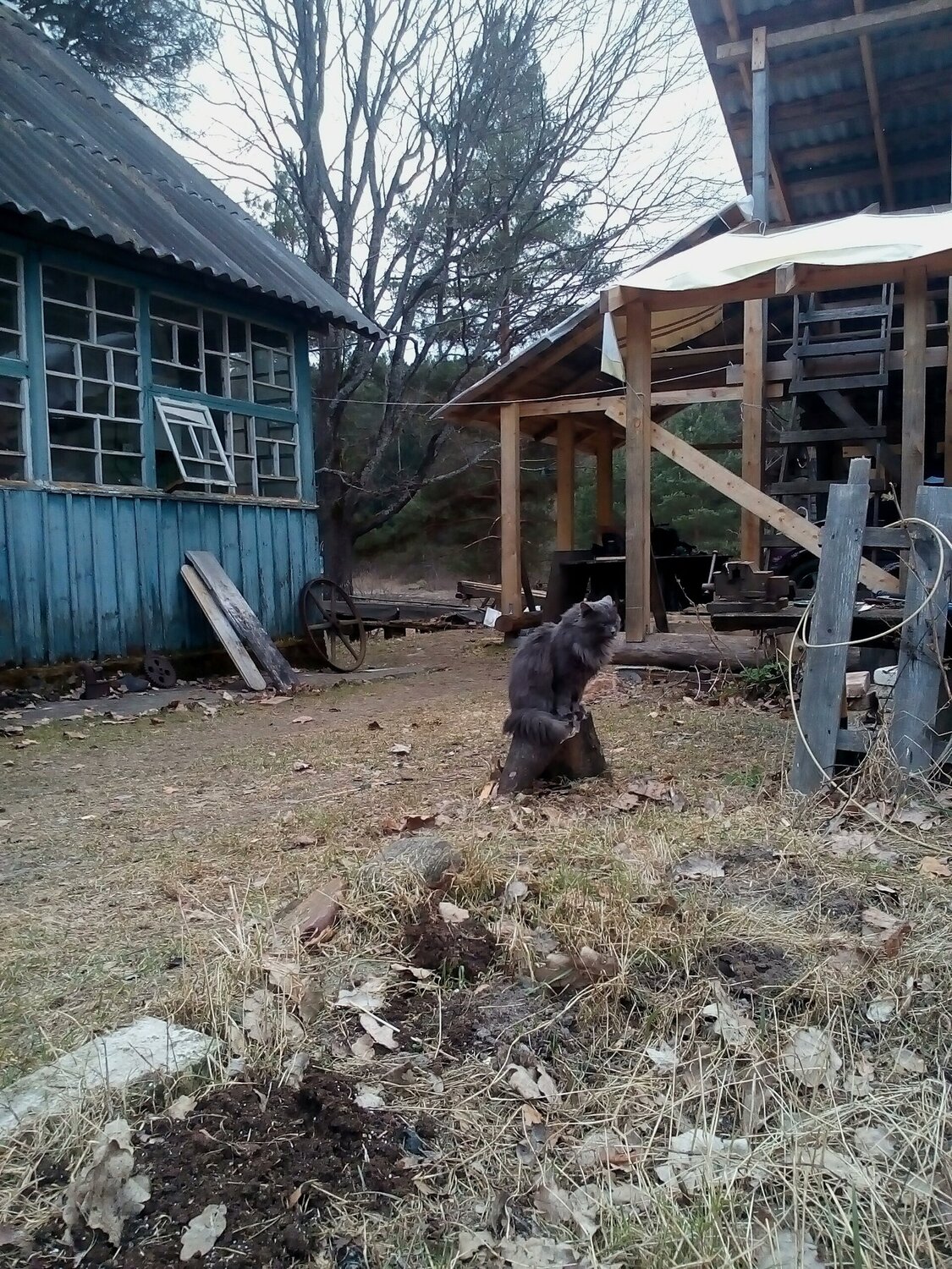 Photo #2411398
