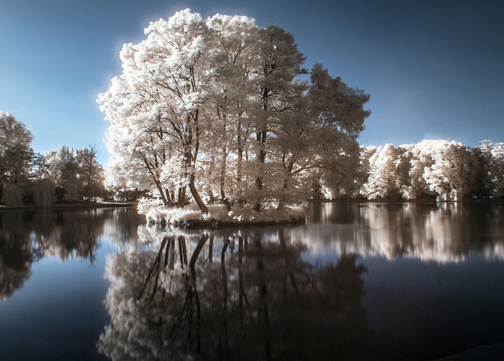 walking on the infrared