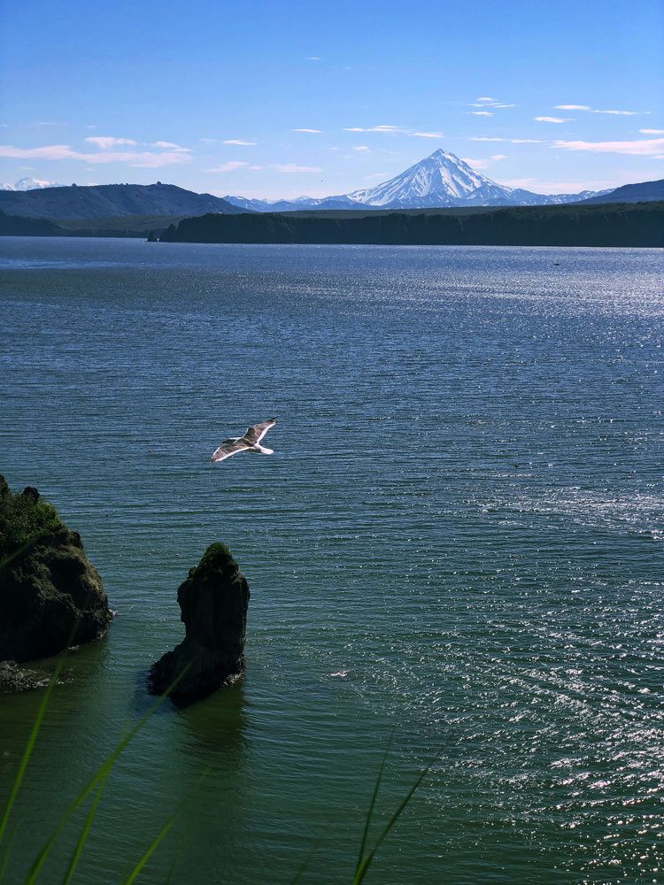 Вид на Вилючинскую сопку