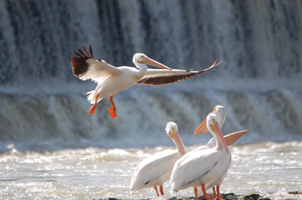 Photograph by charles reid