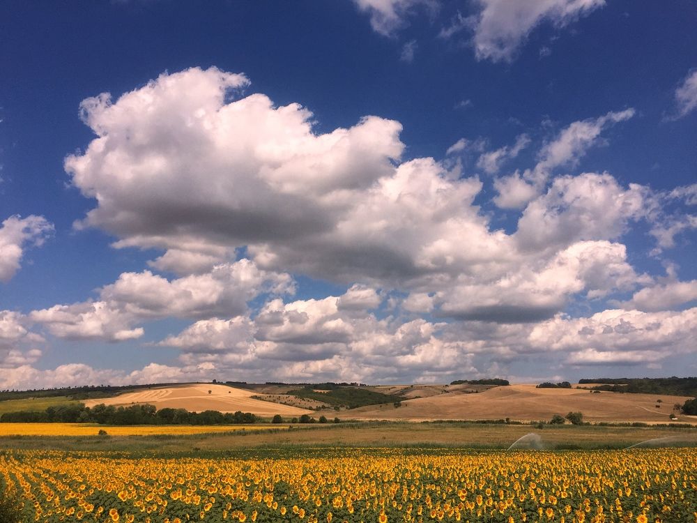 Таманские облака
