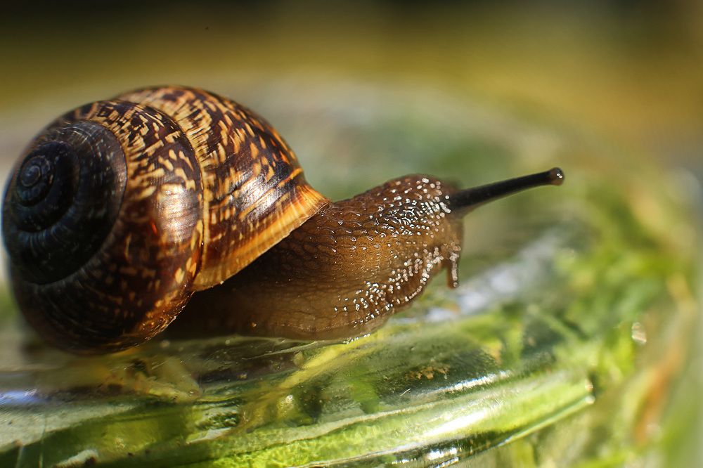 Photograph by СВЕТЛАНА БЫЛОВА