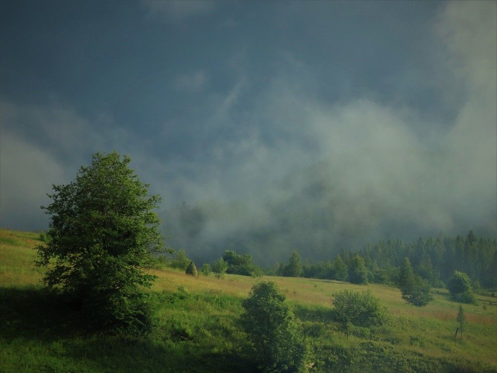 Утренний туман...