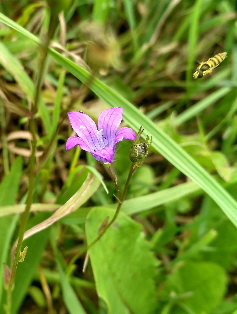 Перед приземлением