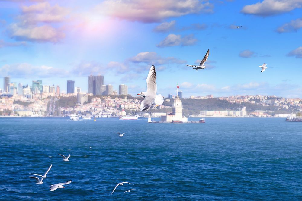 Photograph by Alyona Narcissa