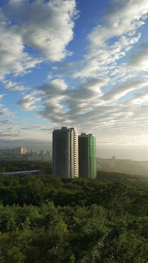 Двое из ларца