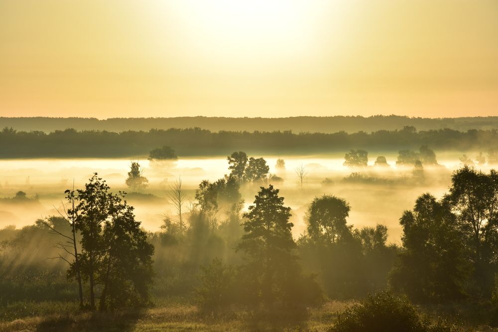 Утренний туман