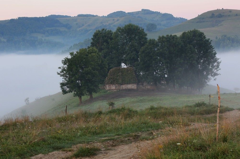 Dumesti, foggy day