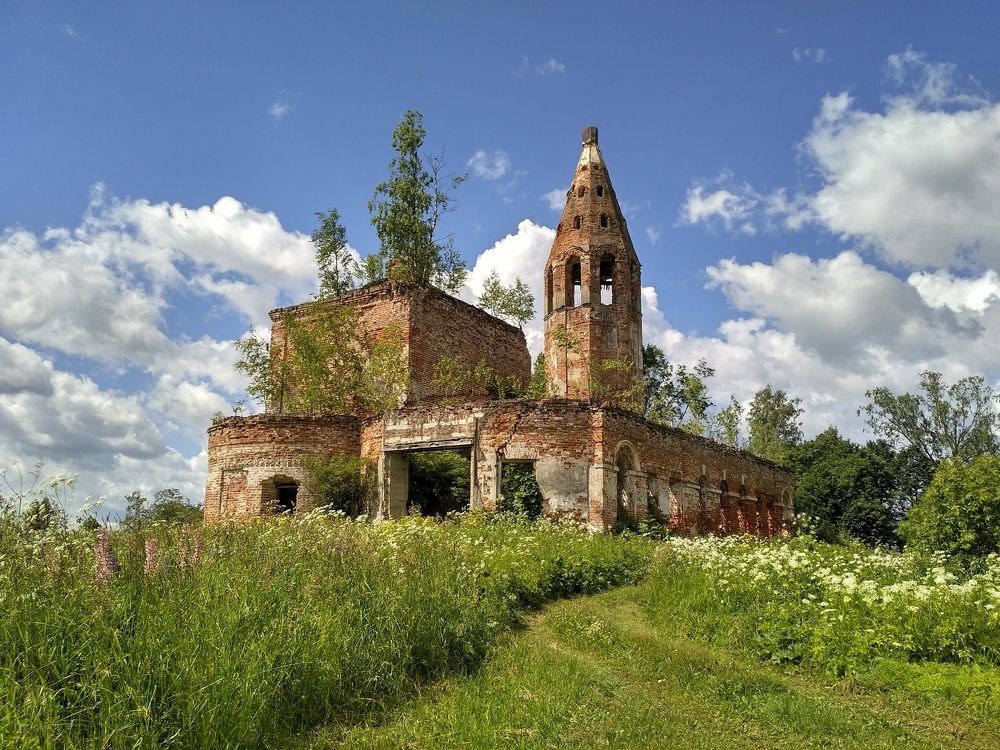 И на камнях растут деревья