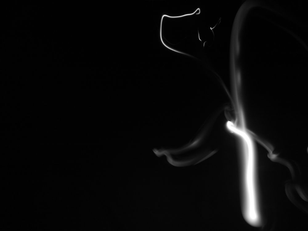 Во мраке ночи