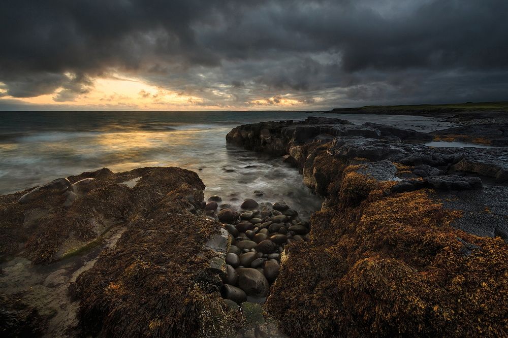 Золочёные берега