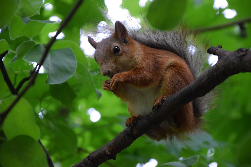 Photograph by Елена