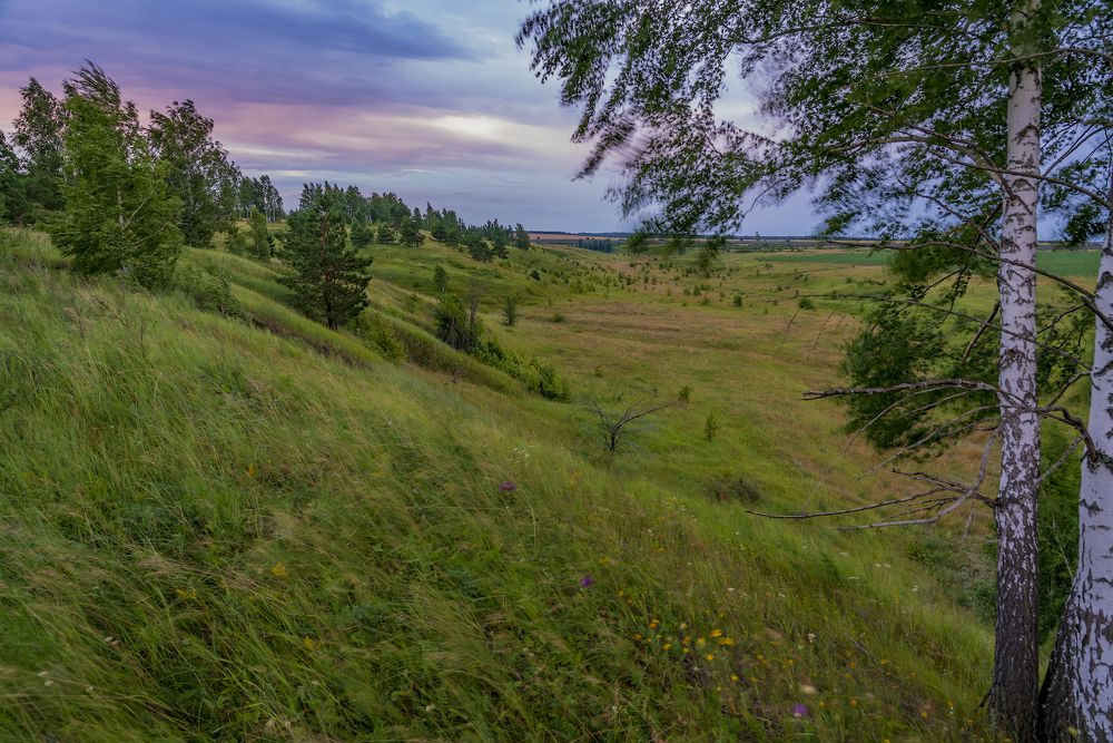 Photograph by Игорь Кляхин