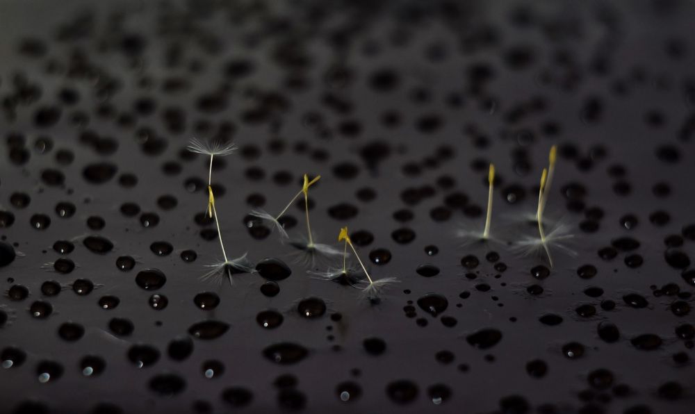 Балетная школа