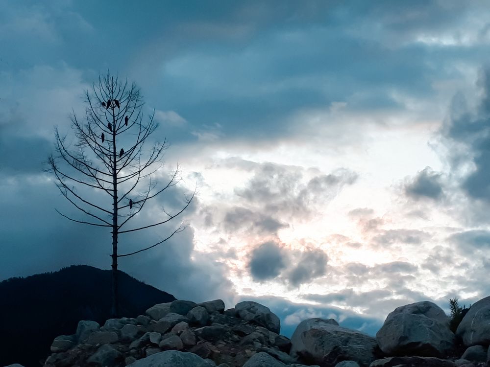 Кто мы с тобой, - Орлы или вороны?