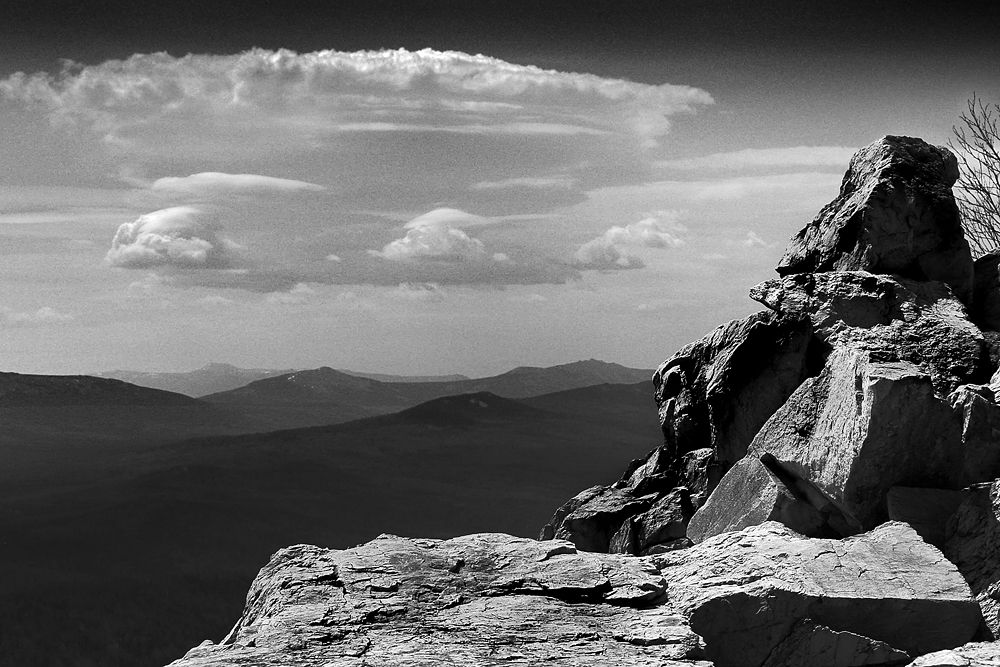 Дремлющий рыцарь.