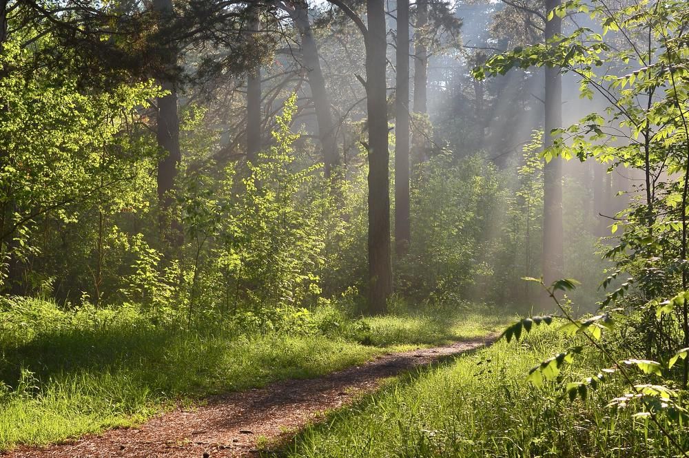 После дождя