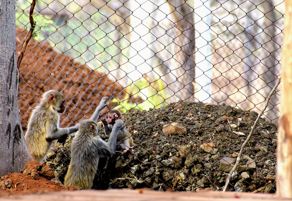 No child wants to be away from his mother