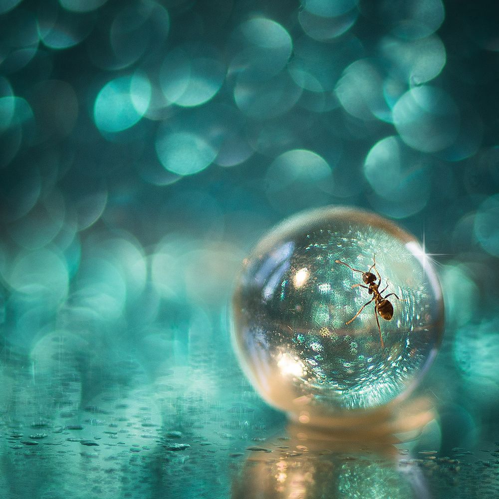 Макрокосмос