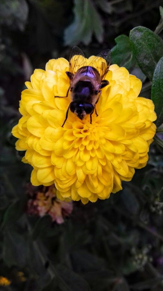 Красоты природы