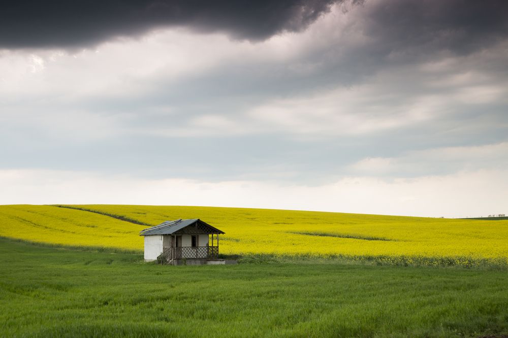 yellow mood