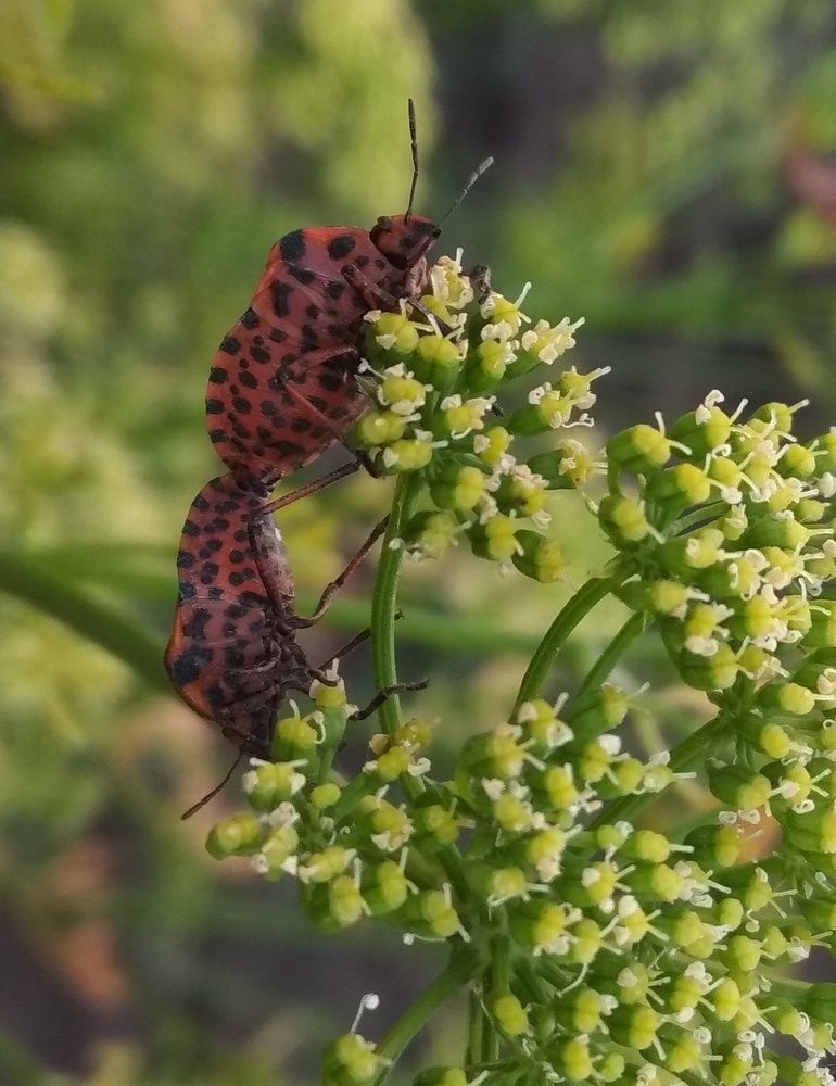 Не тот момент)