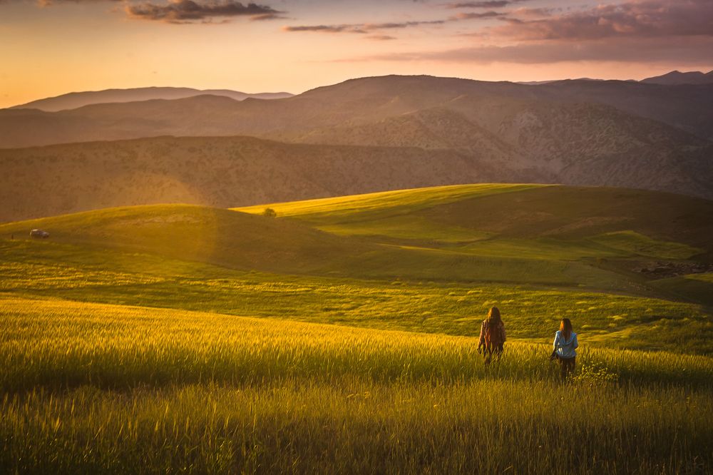 Дай досмотреть как умирает день