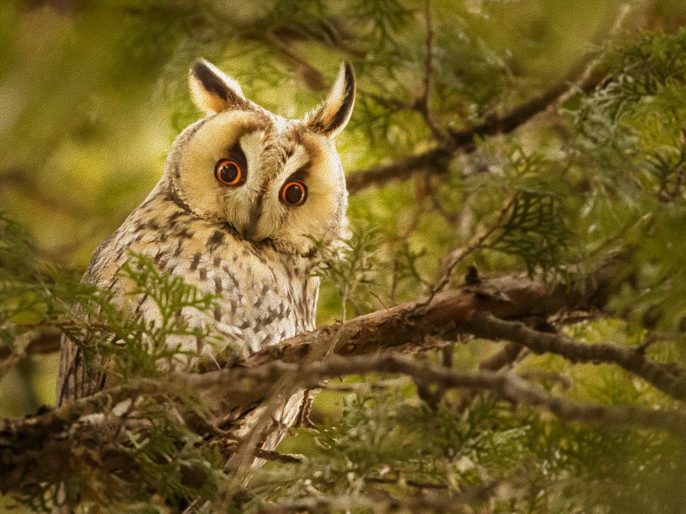 A little privacy, please ...