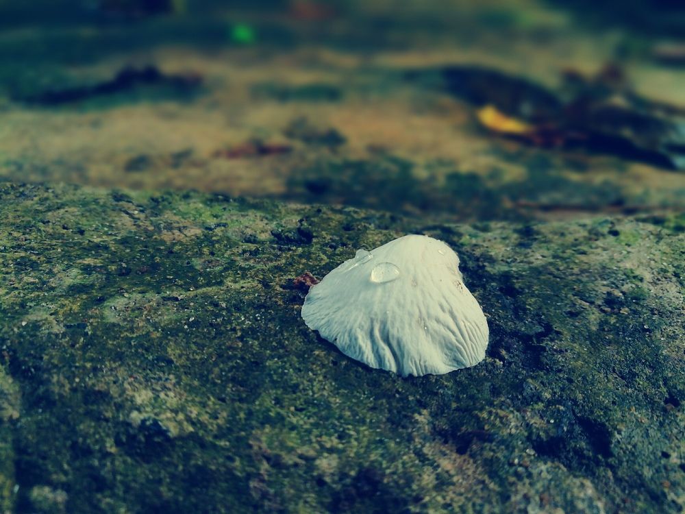 Alone