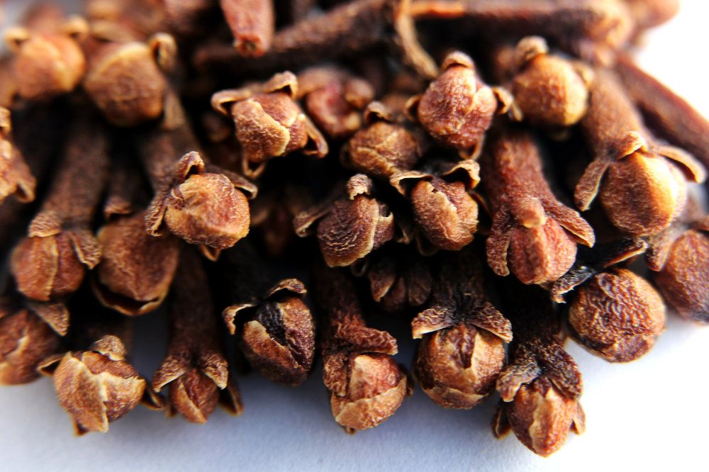 Семена гвоздики.