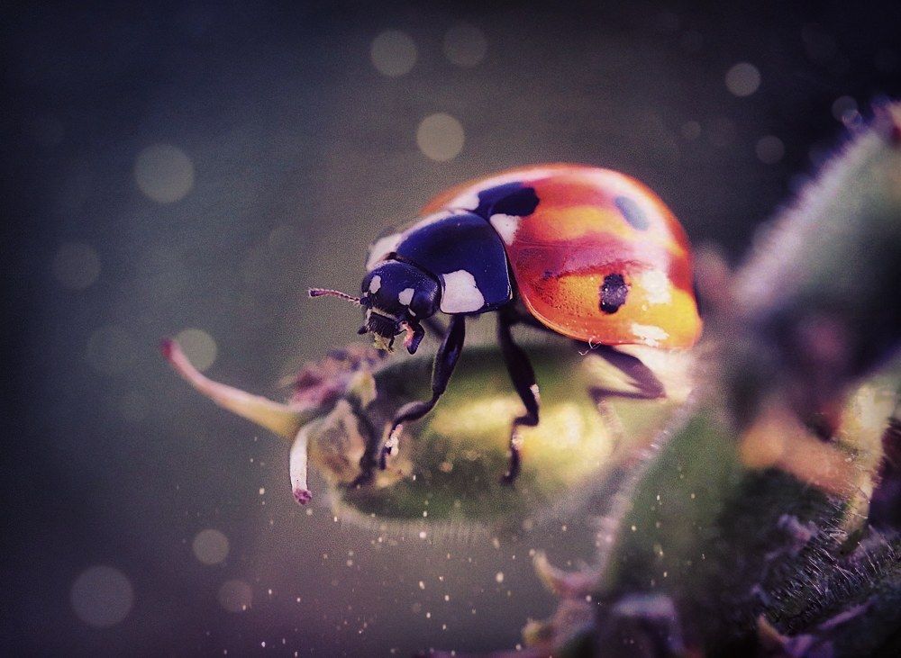 Photograph by Юлия